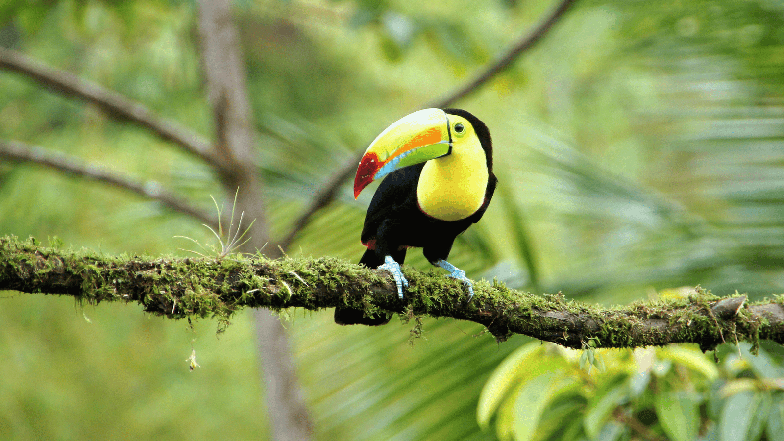 Costa Rica